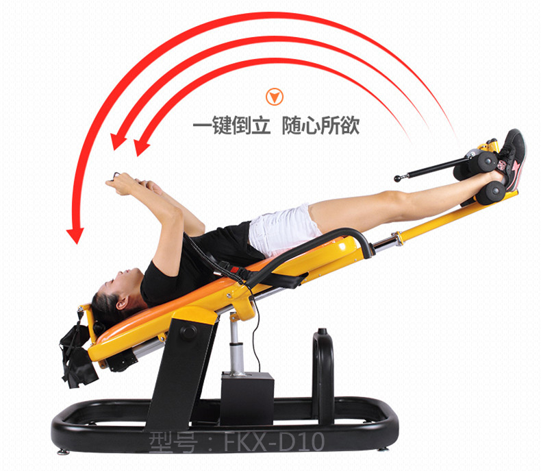 電動(dòng)牽引倒立機 FKX-D10
